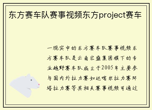 东方赛车队赛事视频东方project赛车